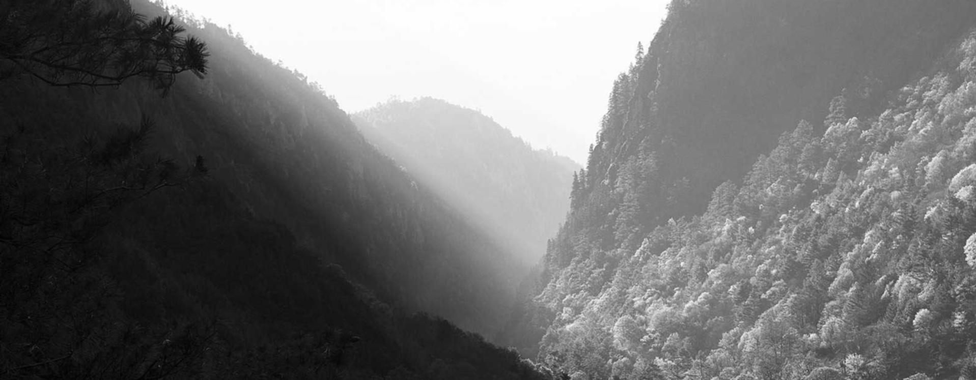 免费DDOS攻击平台|做现货平台开户多少成本