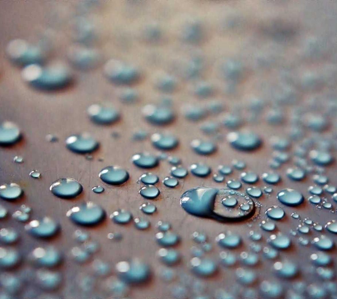 技术支持是否会对游戏评价产生影响?