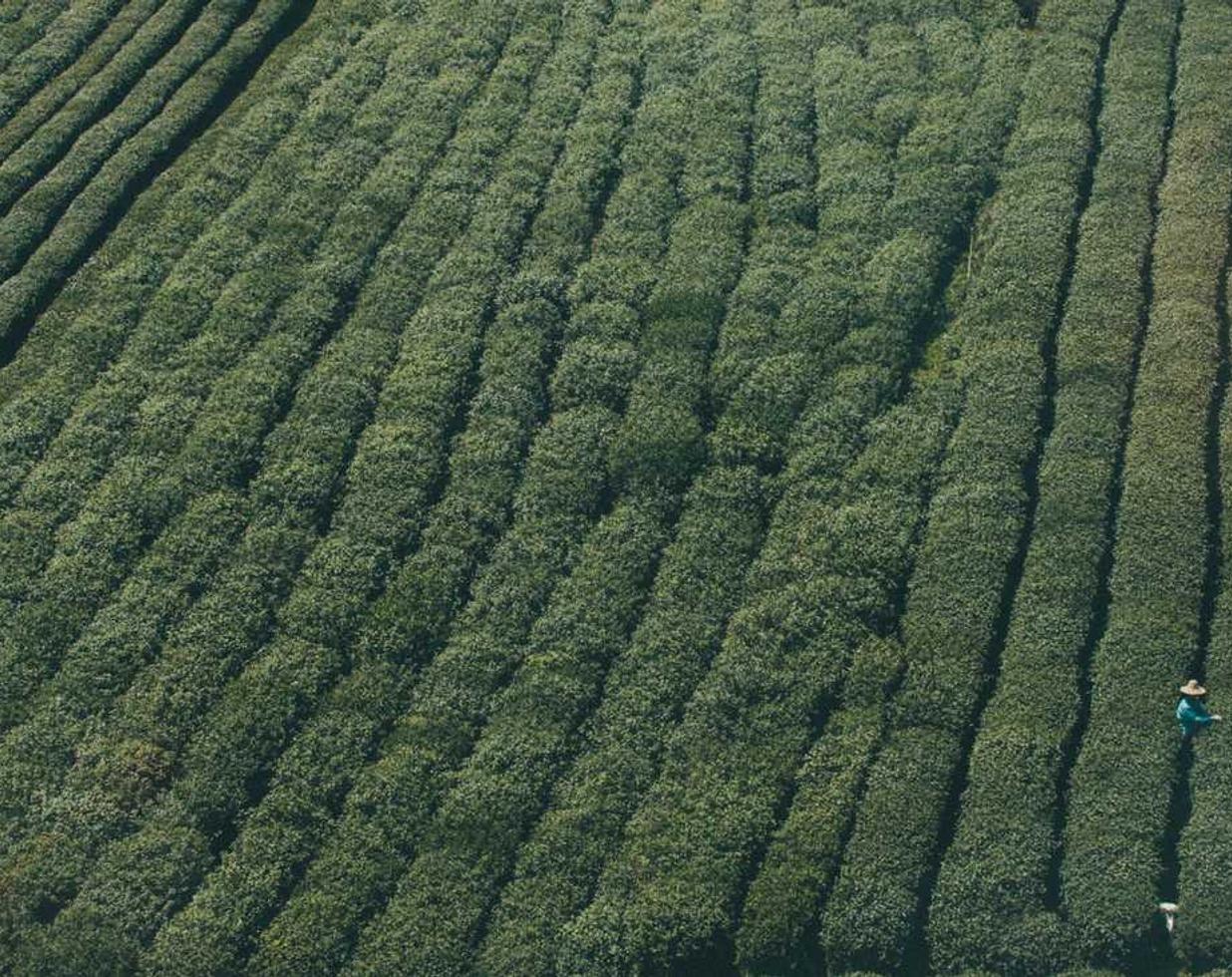 战神遗迹:购买鱼杆平台
