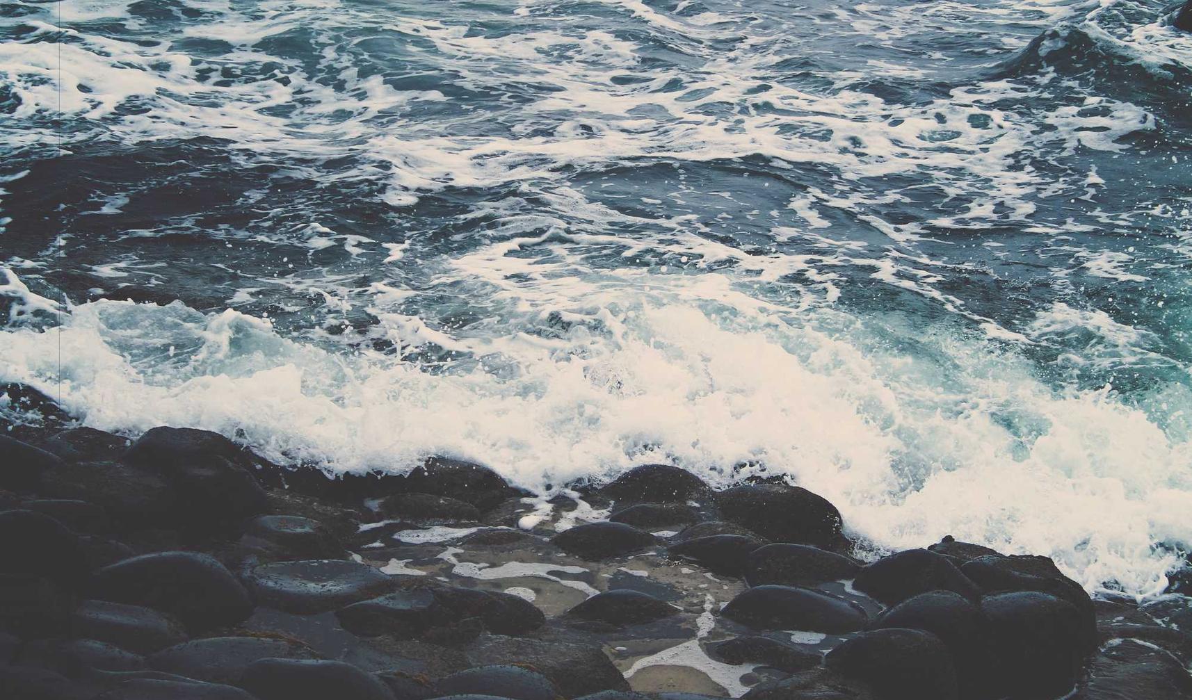 在线DDOS平台攻击|每日优鲜官网app详情下载教程