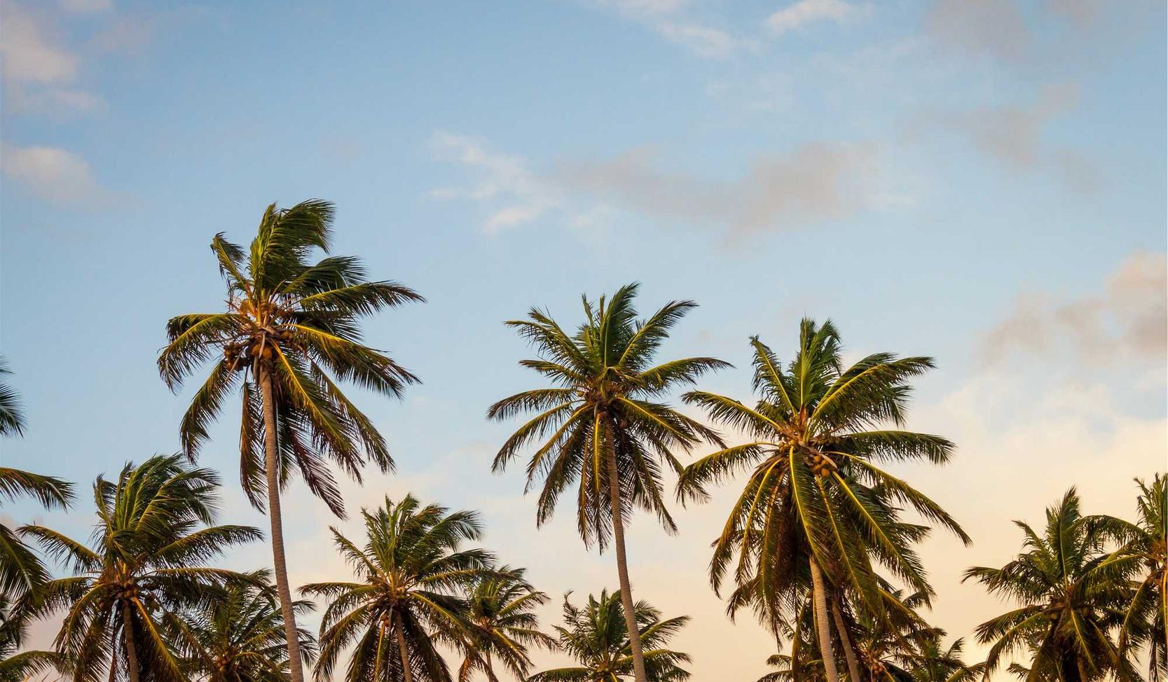 美团美卡实名账号：股票账号购买