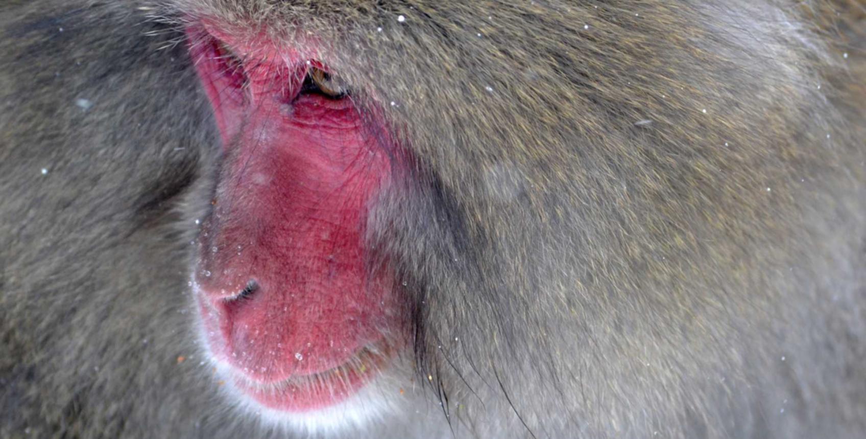 实名QQ号买卖：浙江企业注册代理费用多少