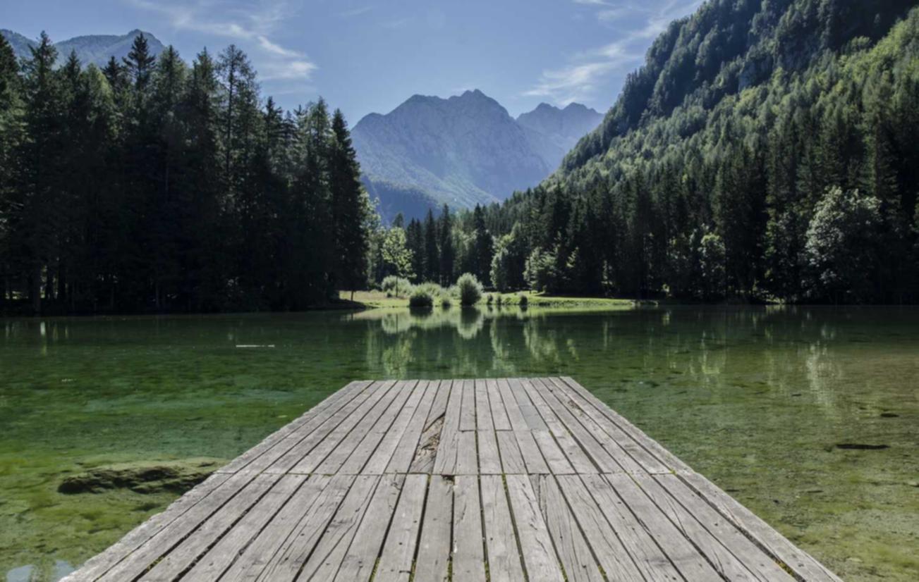 雾森:智连代理注册