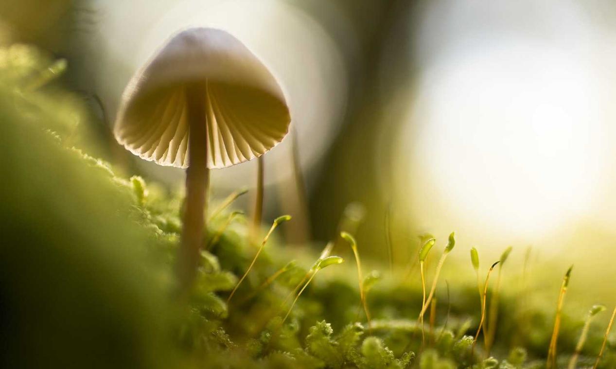 永恒仙途：玉溪平台钢格板购买