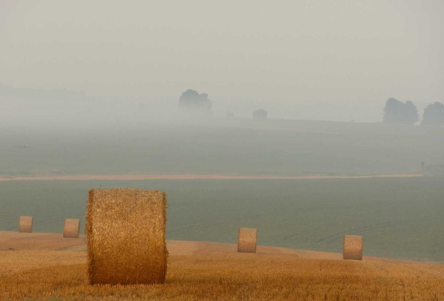 ipad平板购买平台