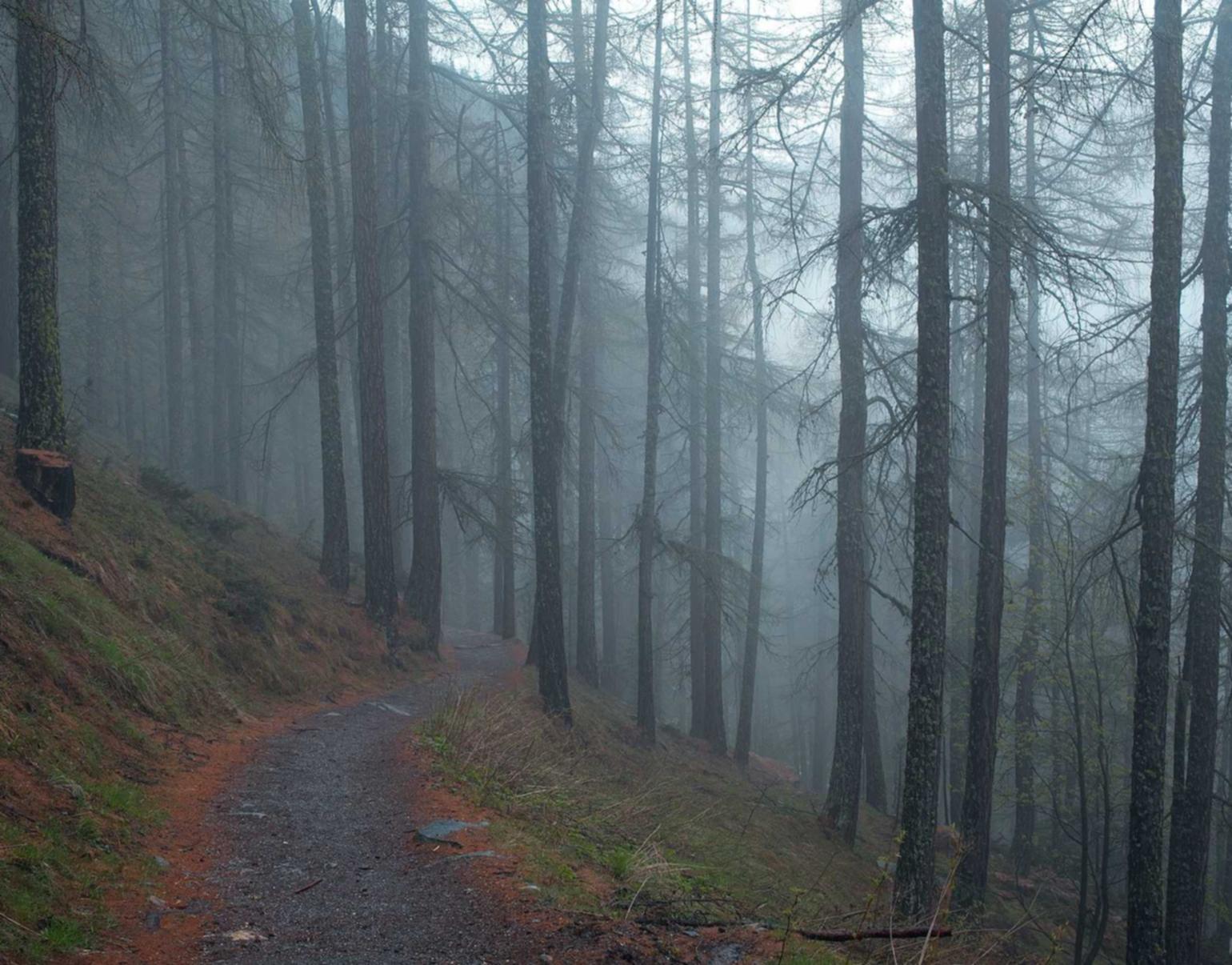 DogYun实名账号:流量卡续费和升级有哪些方式?