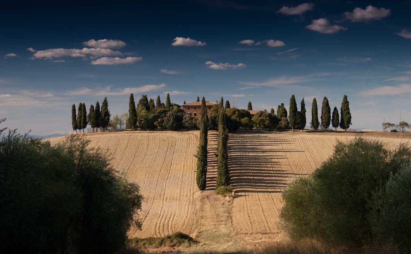 免费DDOS攻击平台|新梦想藤泰商城APP详情下载教程