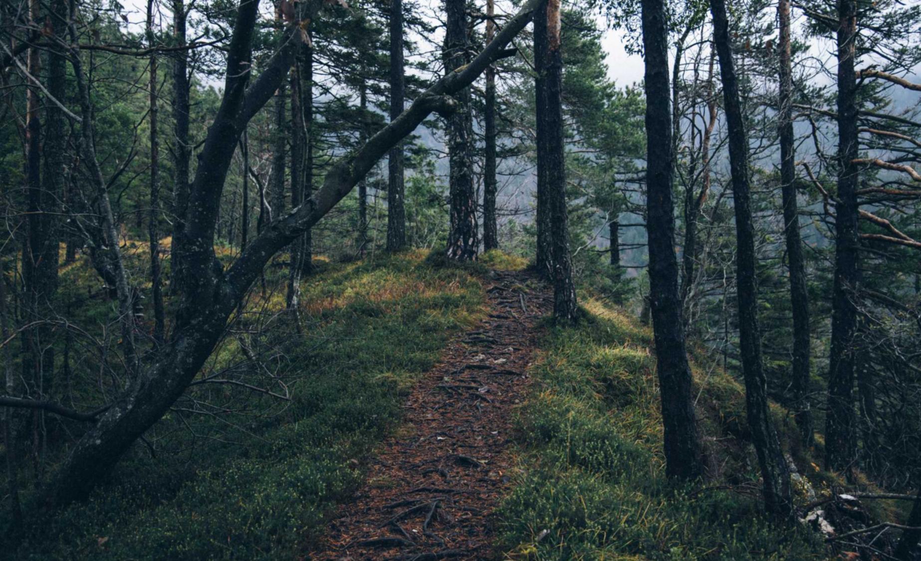 DDOS压力测试|艾艾贴代理怎样注册啊