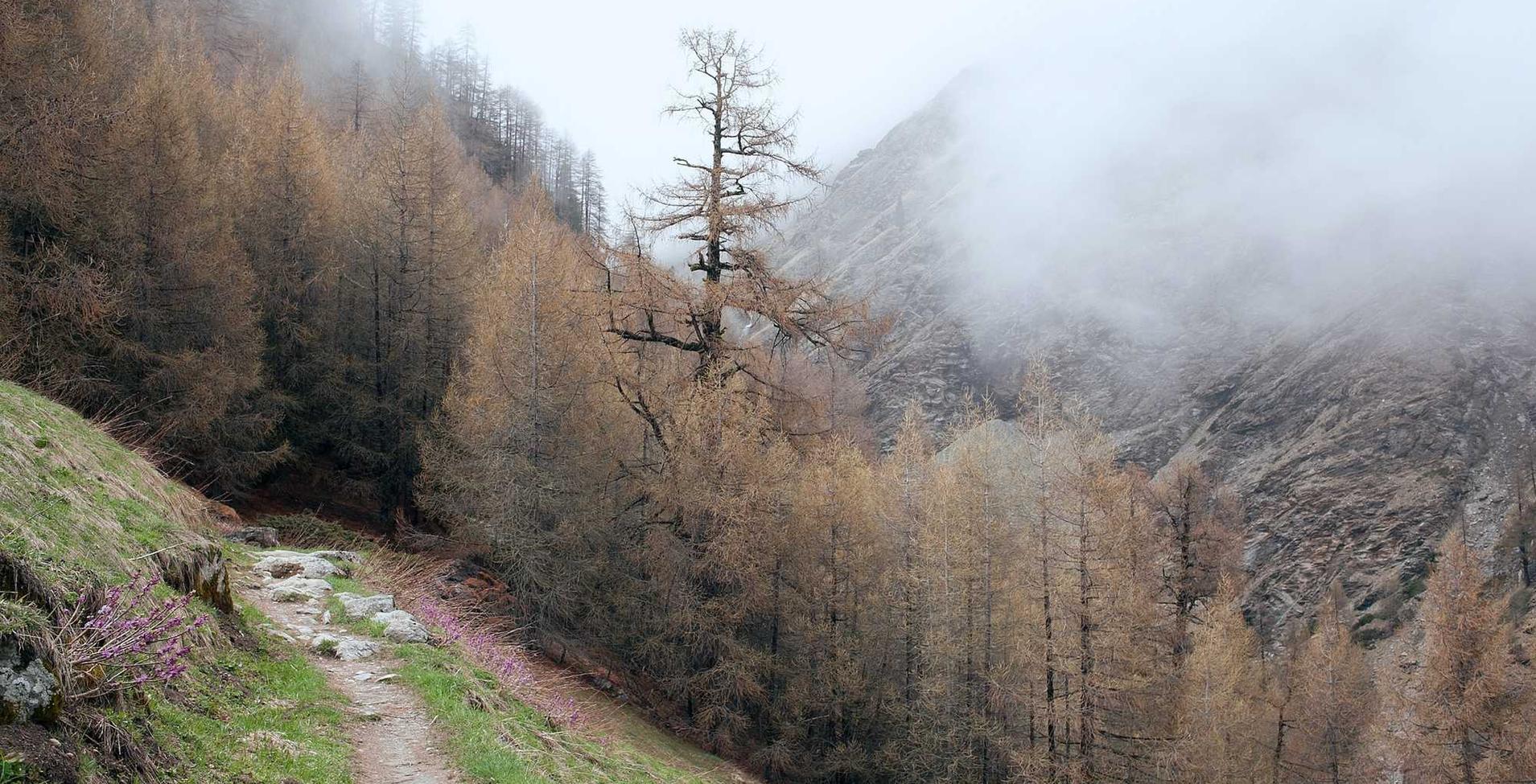 京东通信实名账号：杭州企业代理注册公司