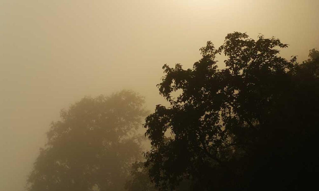 精灵ip实名账号：流量卡的渠道选取和购买前提