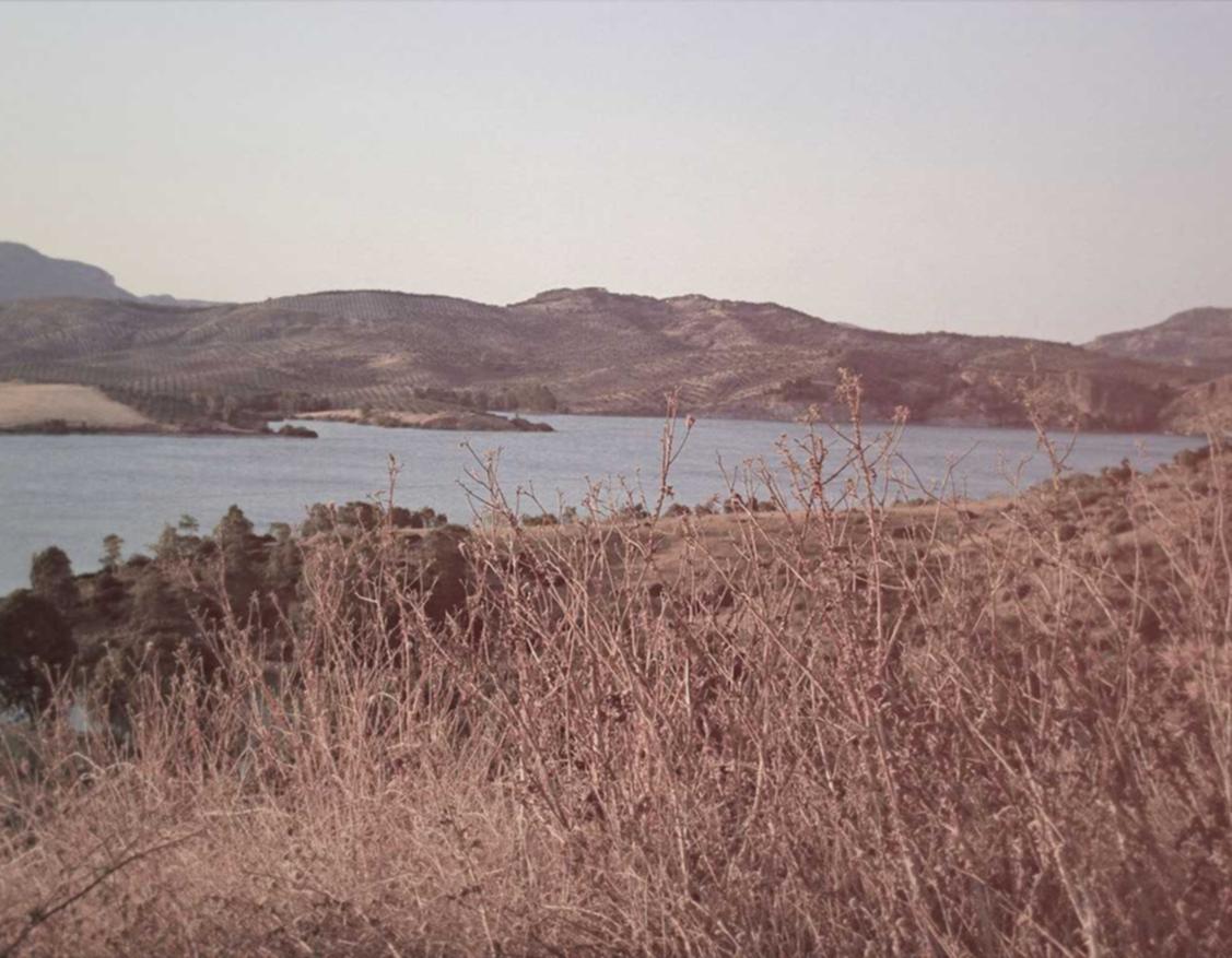 使用针灸治疗戒烟的效果如何？