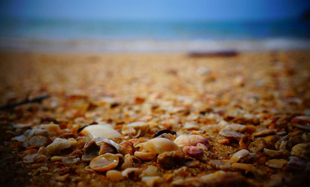 七星柔和（4mg）：富阳区代理记账注册公司