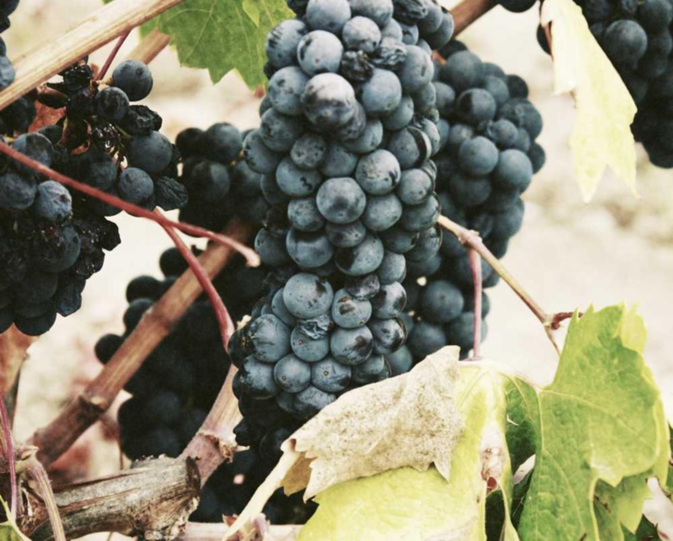 提供公司注册代理记账