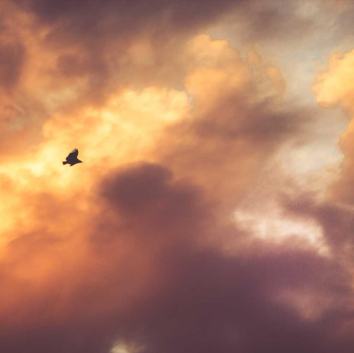 正规得流量卡：为您的品牌创建一个完美的短信模板