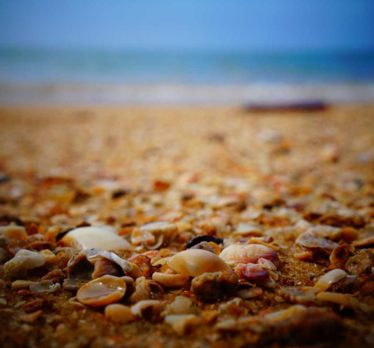 DDOS attack|华明注册代理记账