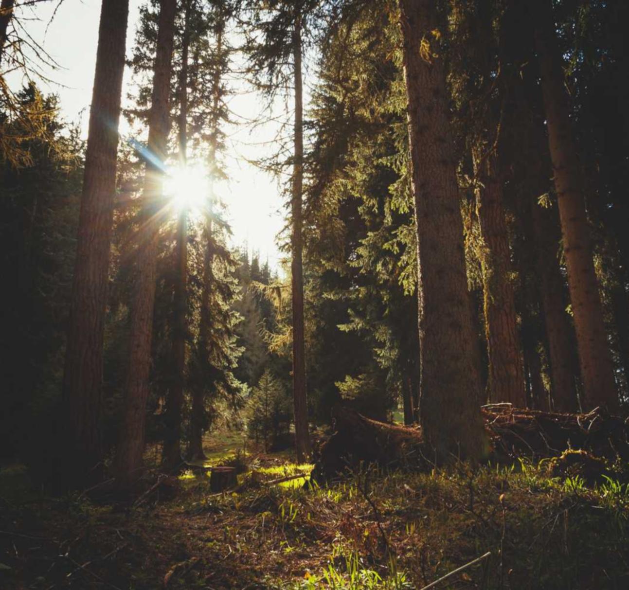 对于技术支持辅助者之间相互的攻讦进行的是两个人之间的博弈