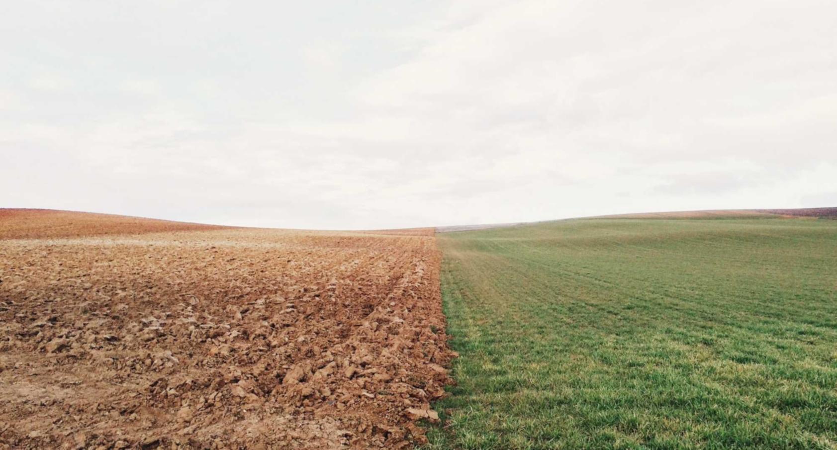 如何处理网站安全问题以避免影响SEO排名