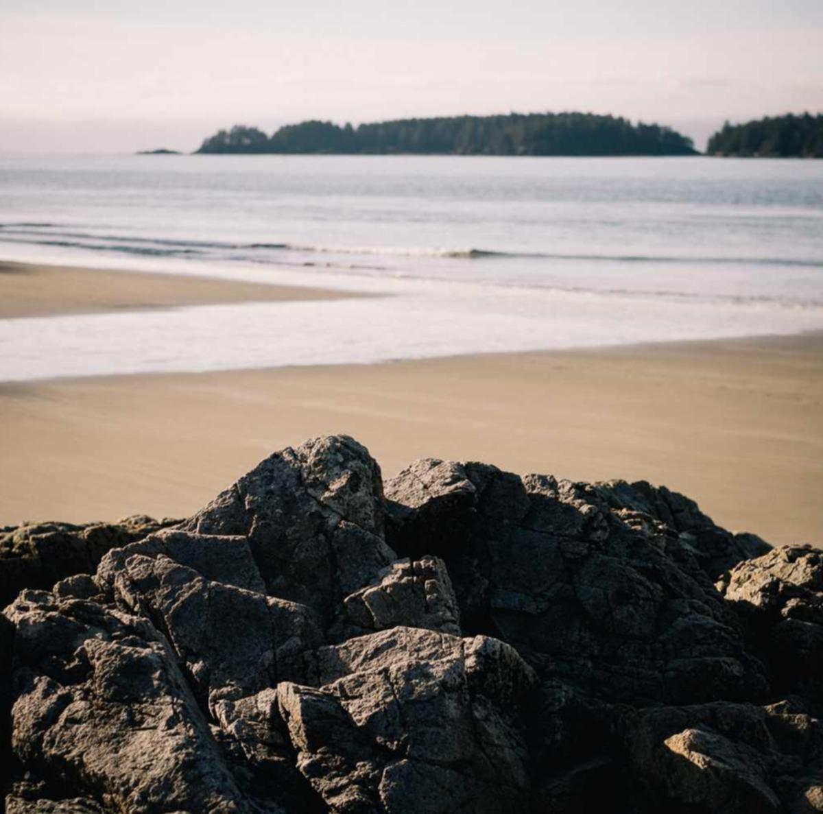 聚名网实名账号:详情下载教程校园app