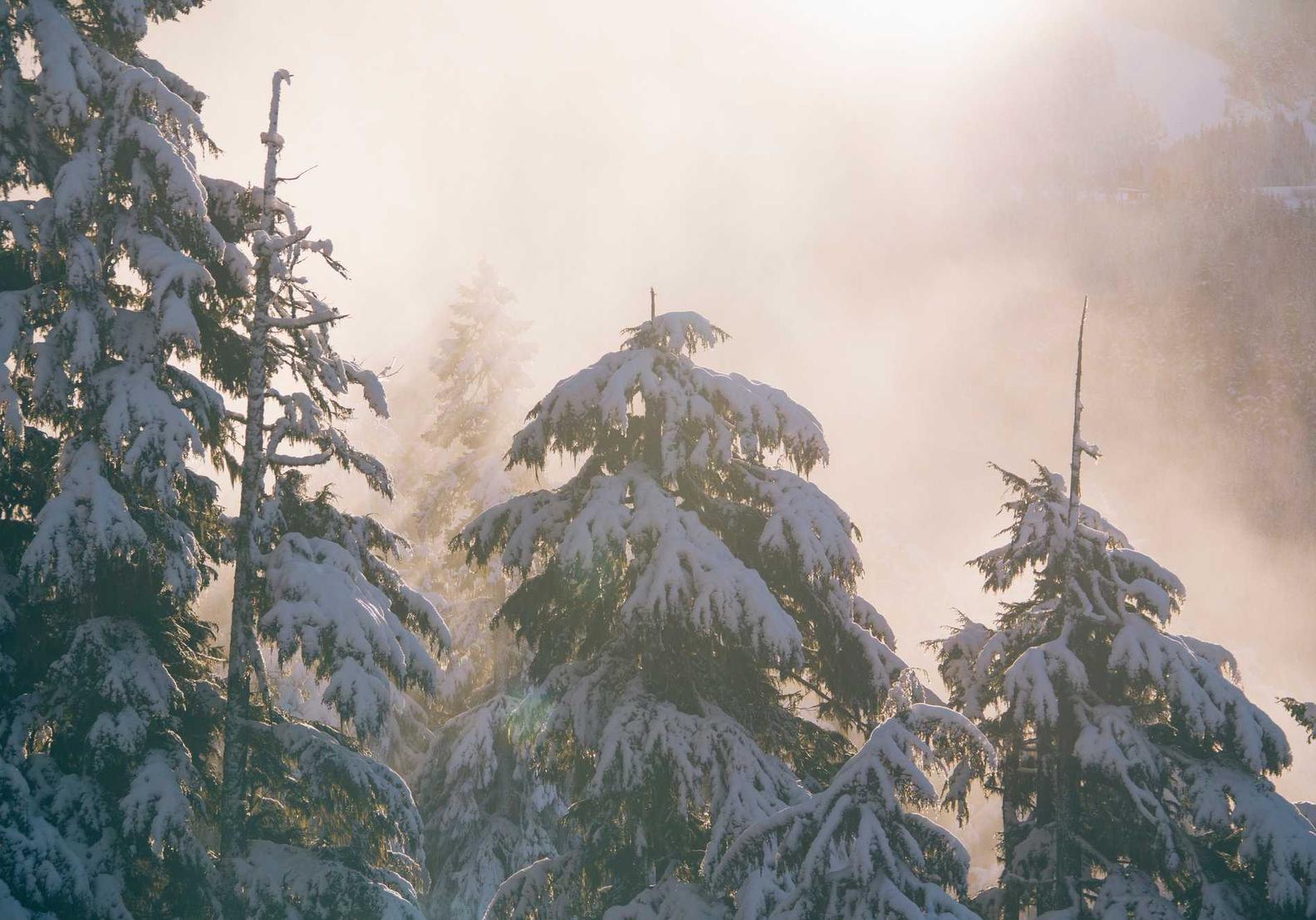 短信营销的十大发送时间分析