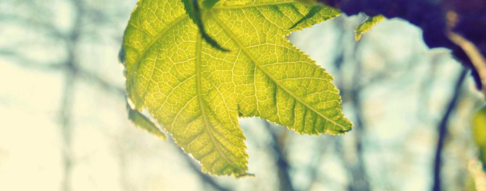 DDOS攻击教程|滴滴大连app详情下载教程