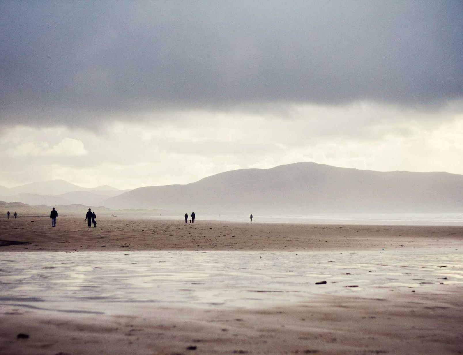 蜂巢互联- 韩星网app详情下载教程