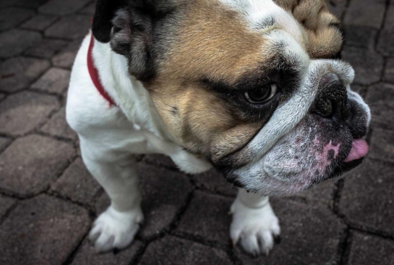 如果开在线如何注册账号