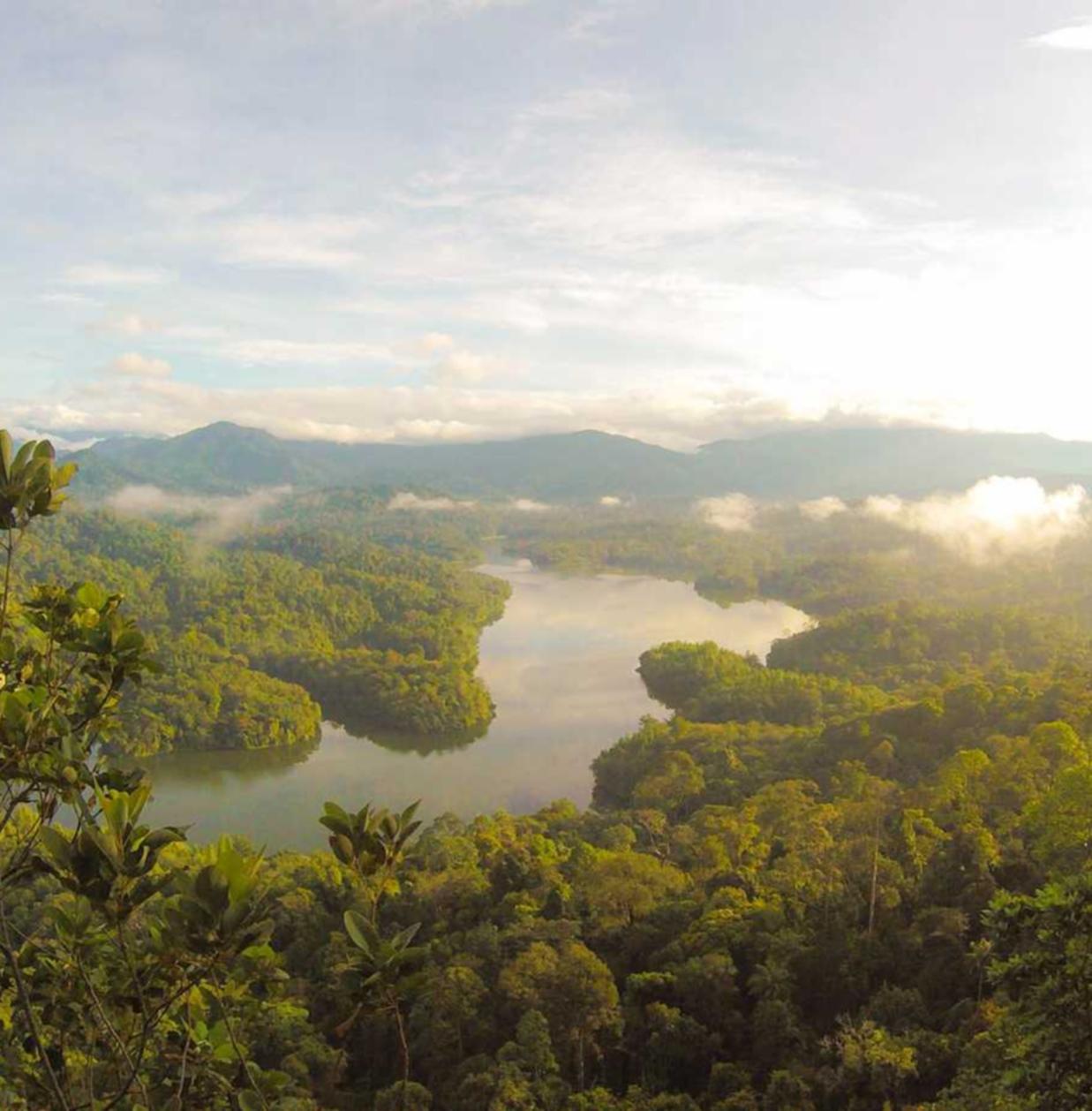 欧皇天游平台开户送计划