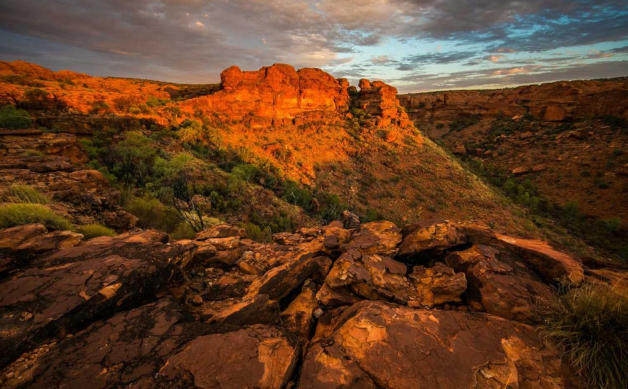 如何使用SEO评价公司来评估买家需求
