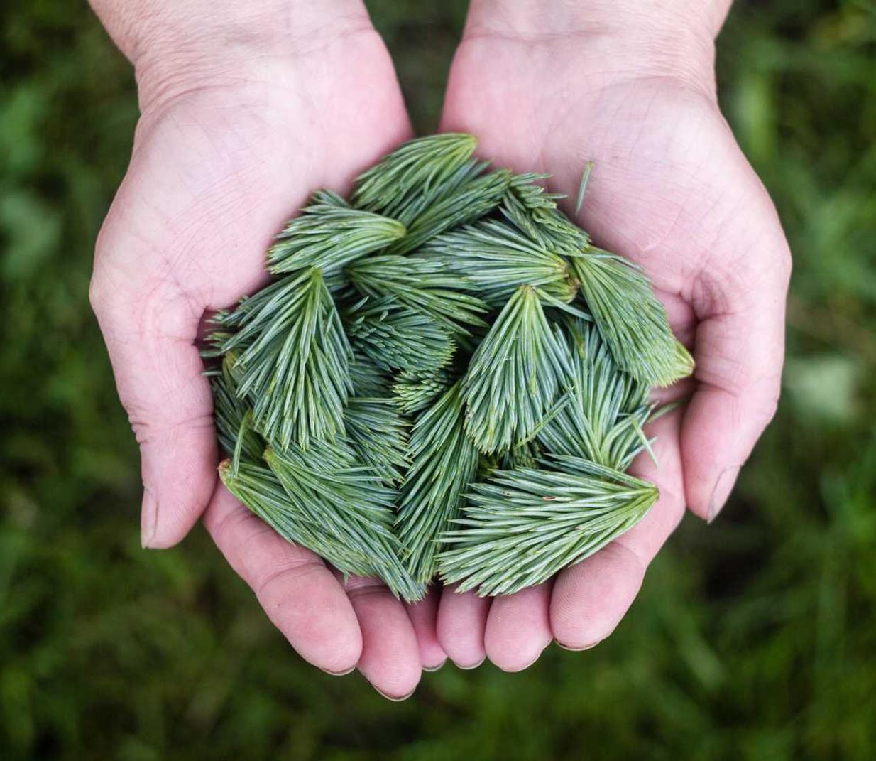 ddos：恒彩开户-皇恩a平台