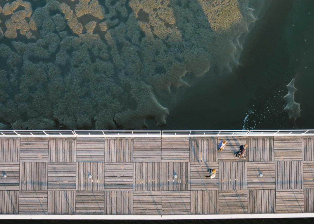 京东云实名账号：9号项目规划开户平台