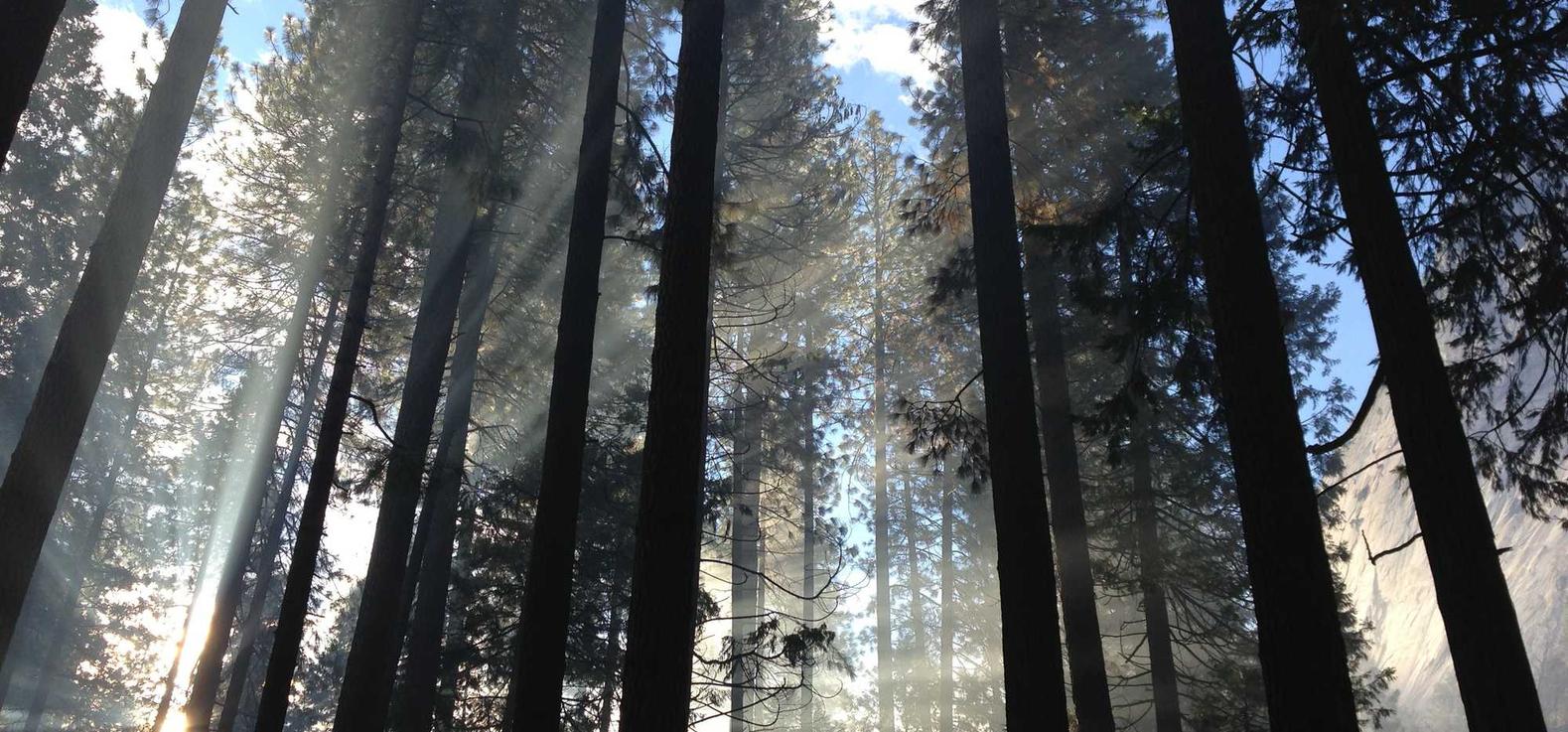 流放之路（台服）：清货平台代理