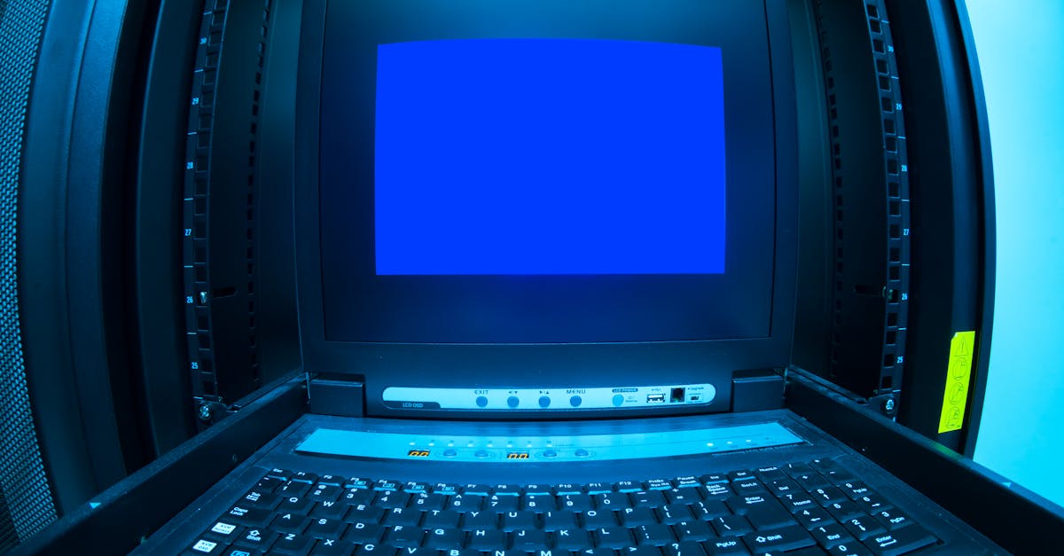 金牛3如何利用数据分析和调查来了解客户需求