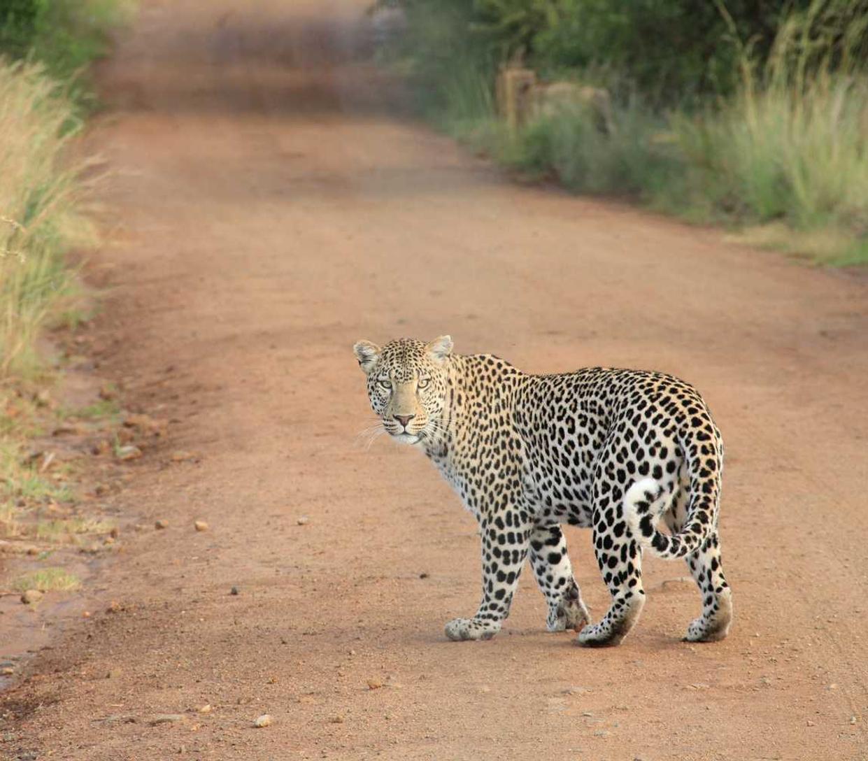 二手车之家app详情下载教程