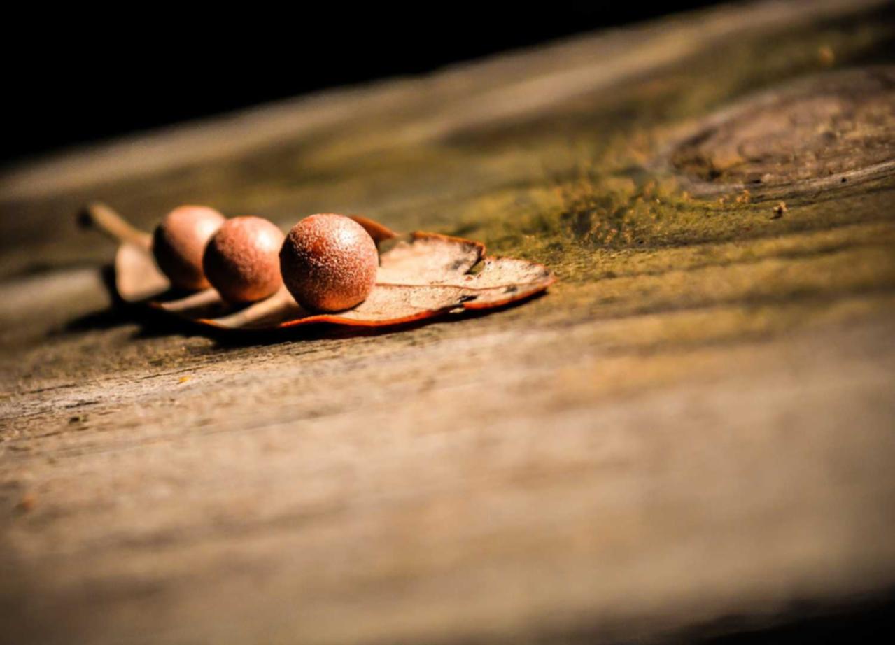 国内微信号：个人商标代理怎么注册