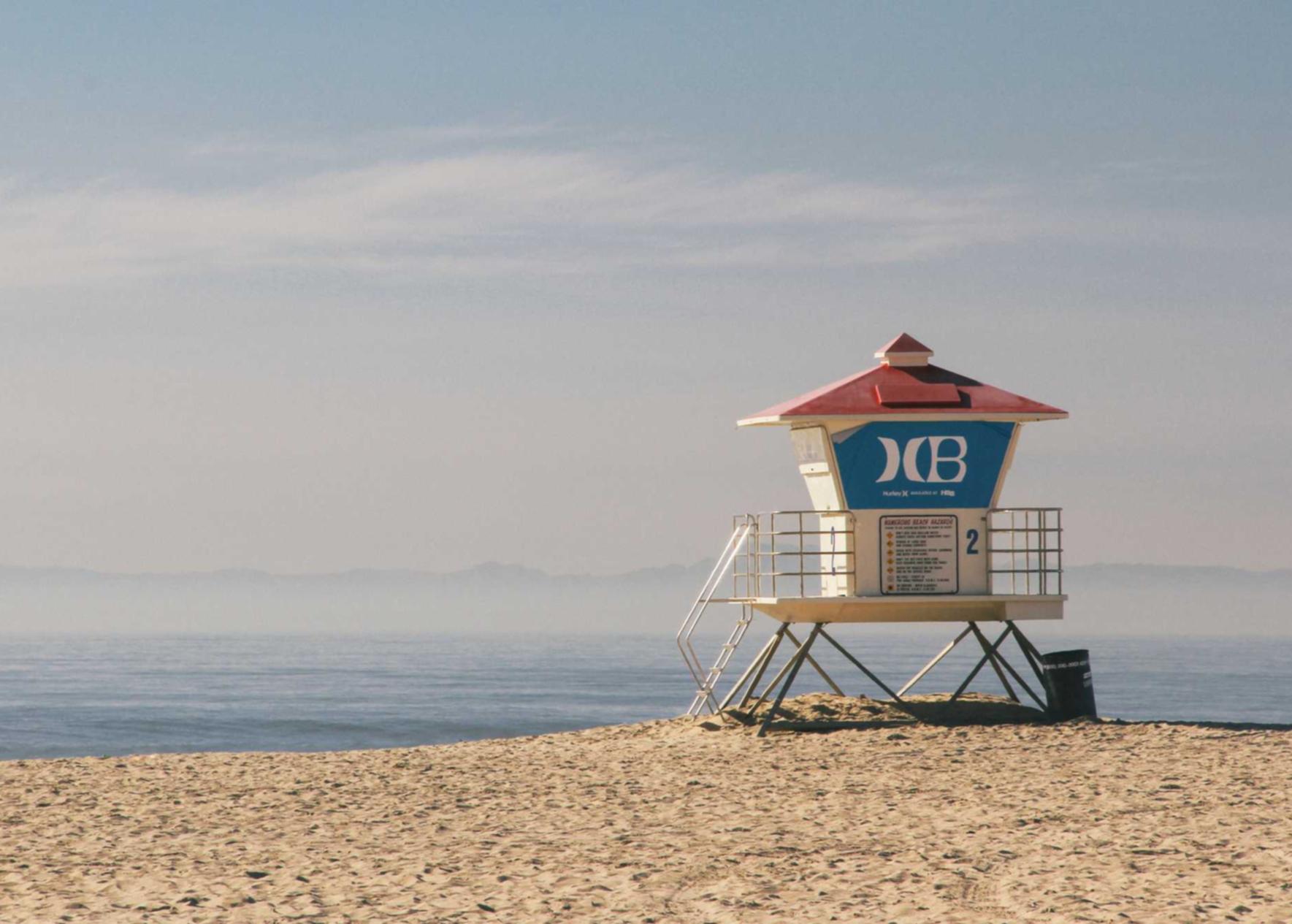 DDOS接单平台|推特app详情下载教程