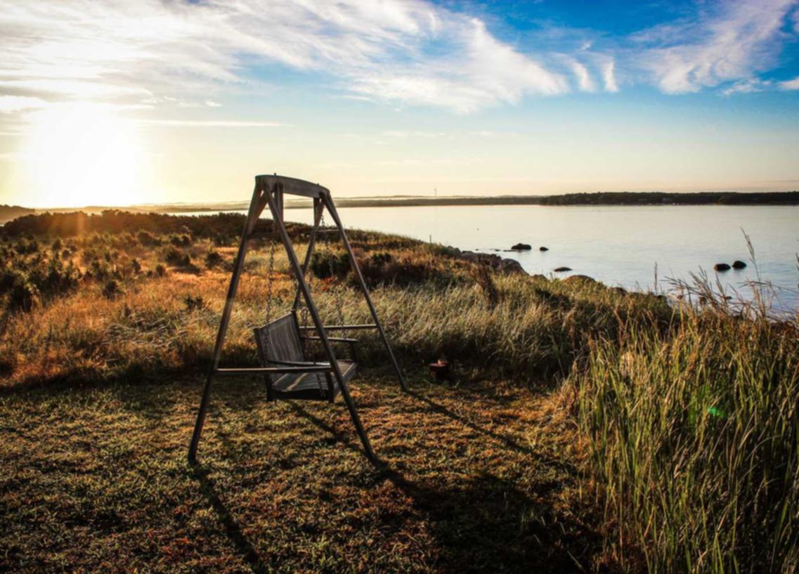 天悦详情下载教程专用播放器app
