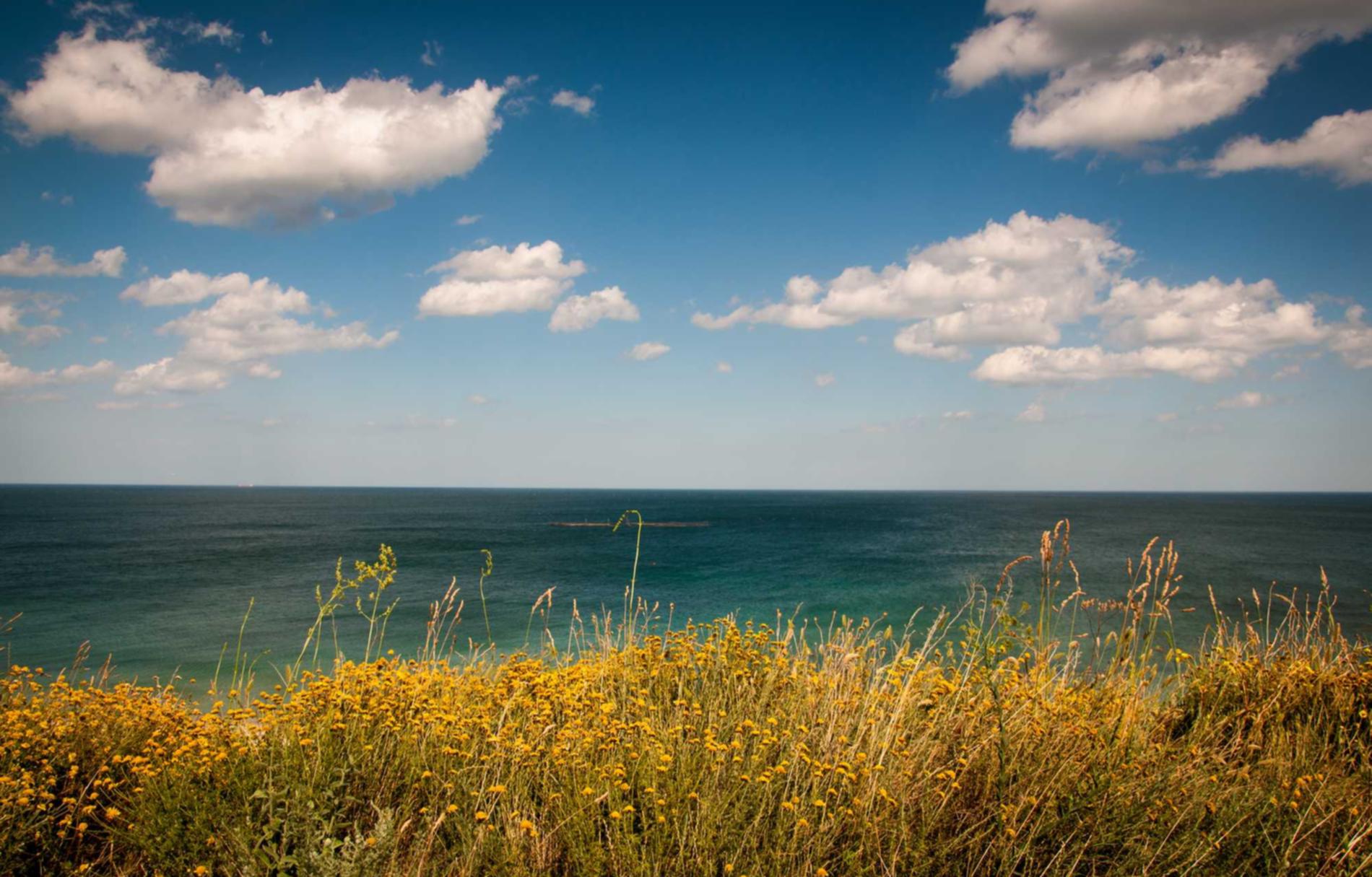 全民冠军足球：代理外资注册公司