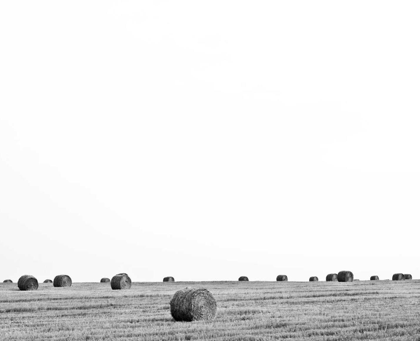 技术支持之家的勇者，你的生命可以买多少FTV？