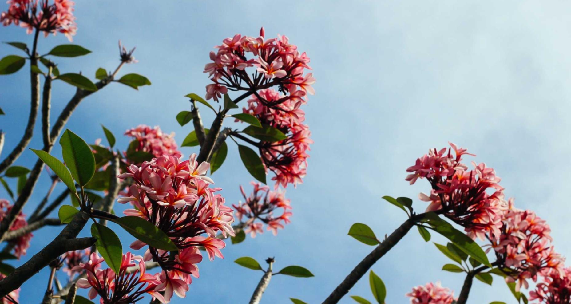 DDOS在线压力测试|肥西代理公司注册