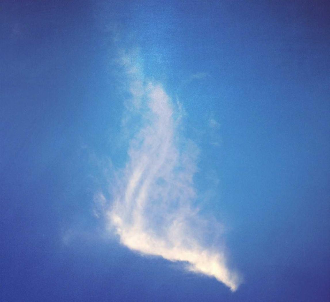 新征途：猫咪社群账号怎么注册