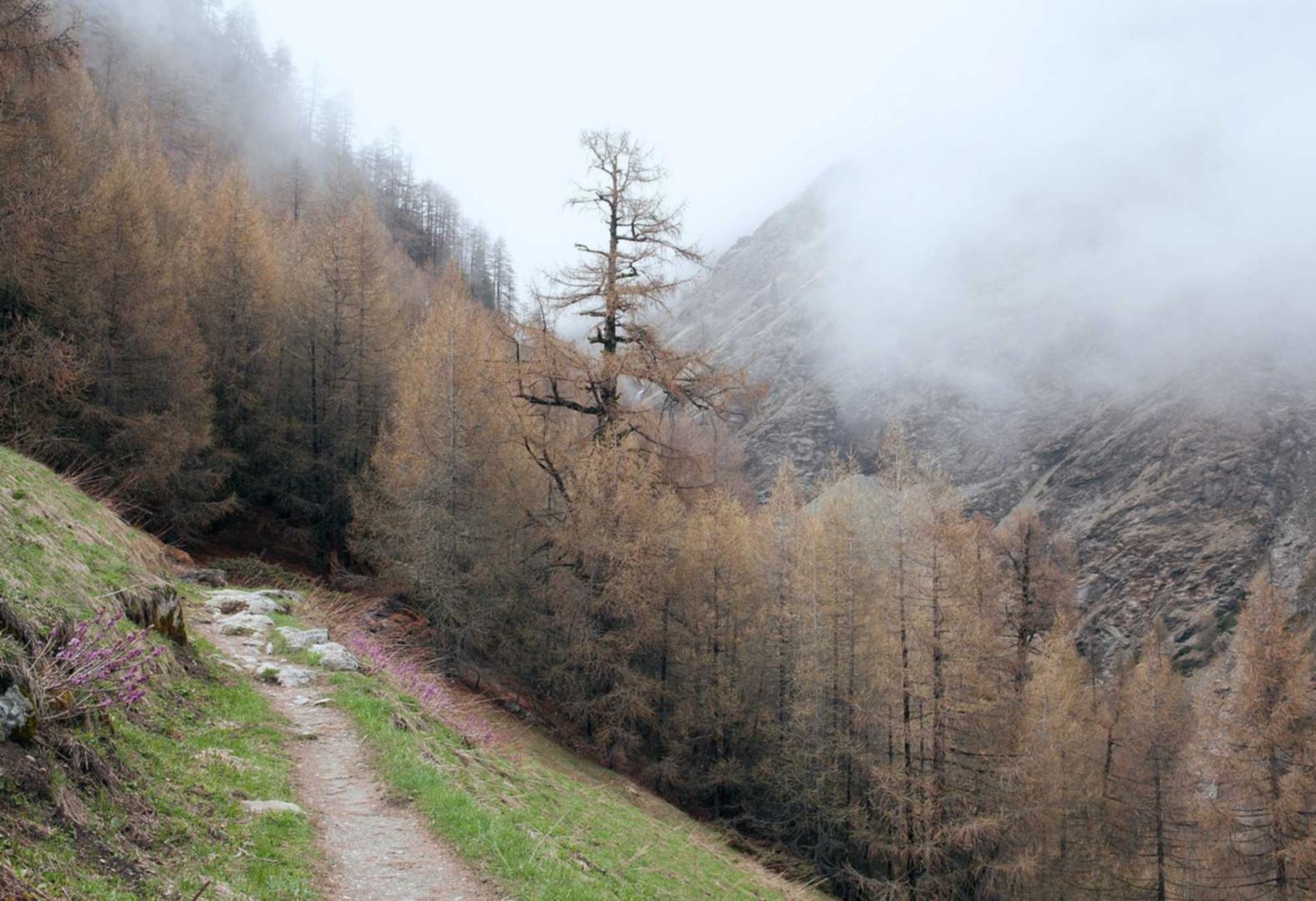 滴滴实名账号：app搬家软件详情下载教程