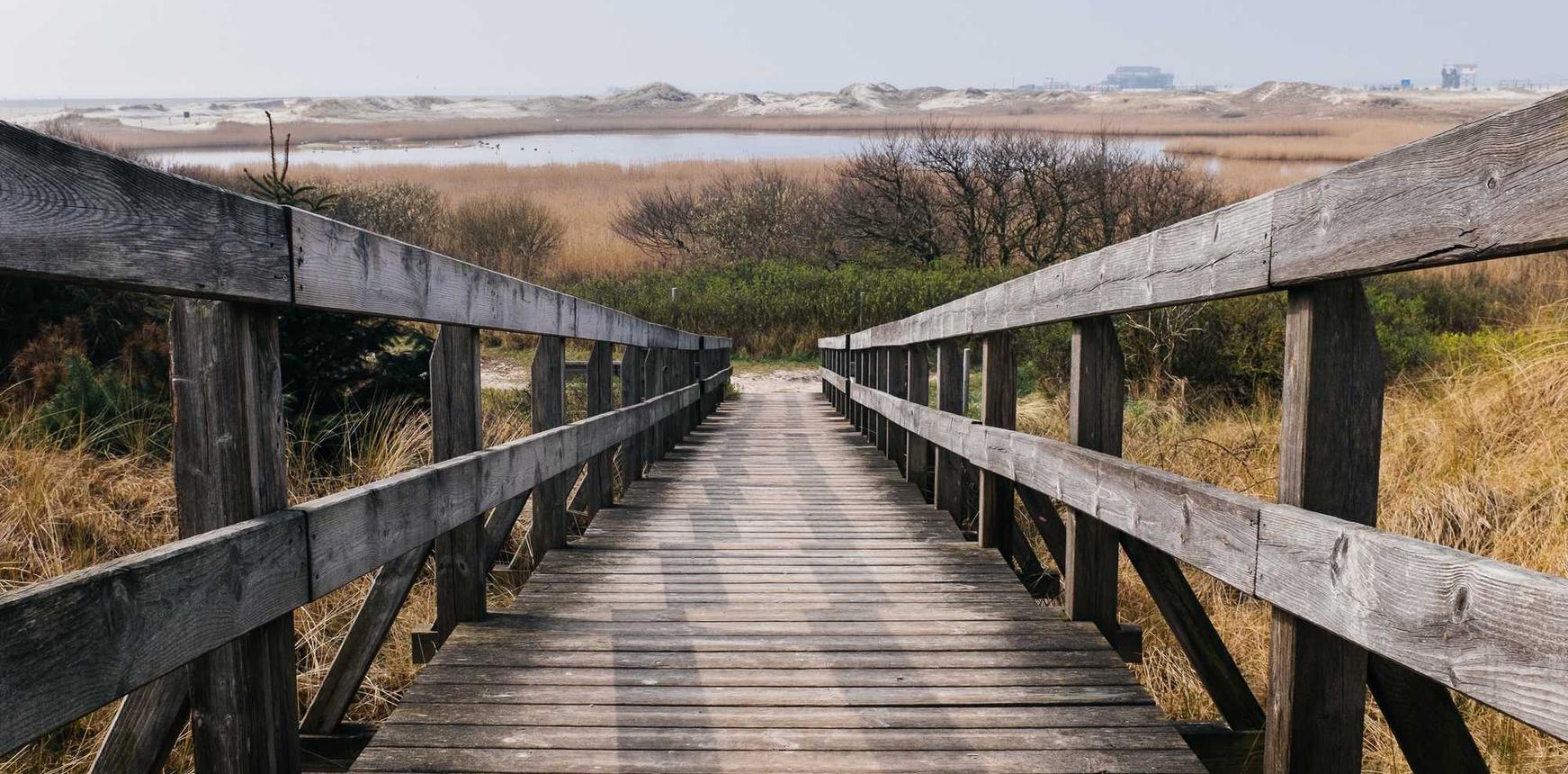 远征手游：豆瓣app版本详情下载教程