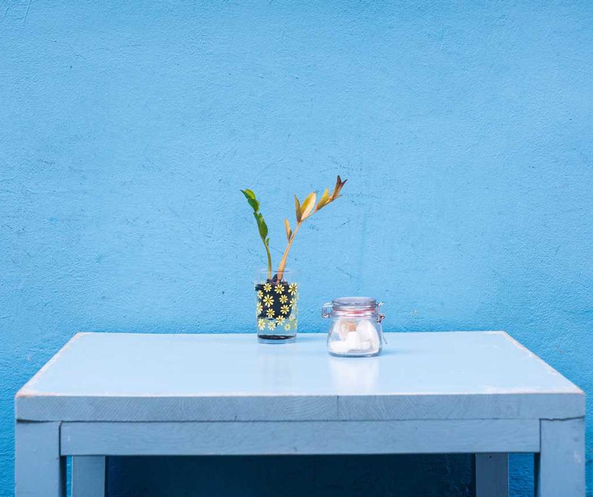 多途云实名账号：详情下载教程APP才能录像