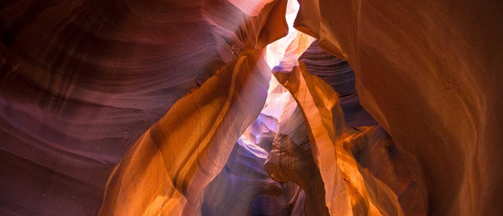 DDOS网页端平台|详情下载教程样机app