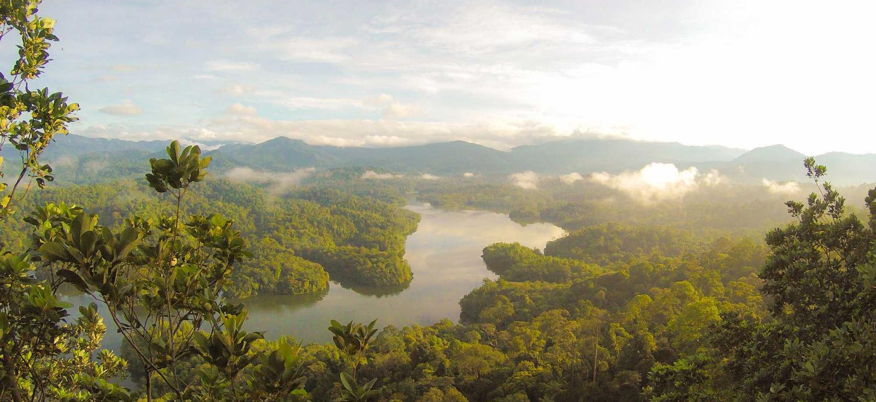 百度云实名账号：陌上洞天APP详情下载教程