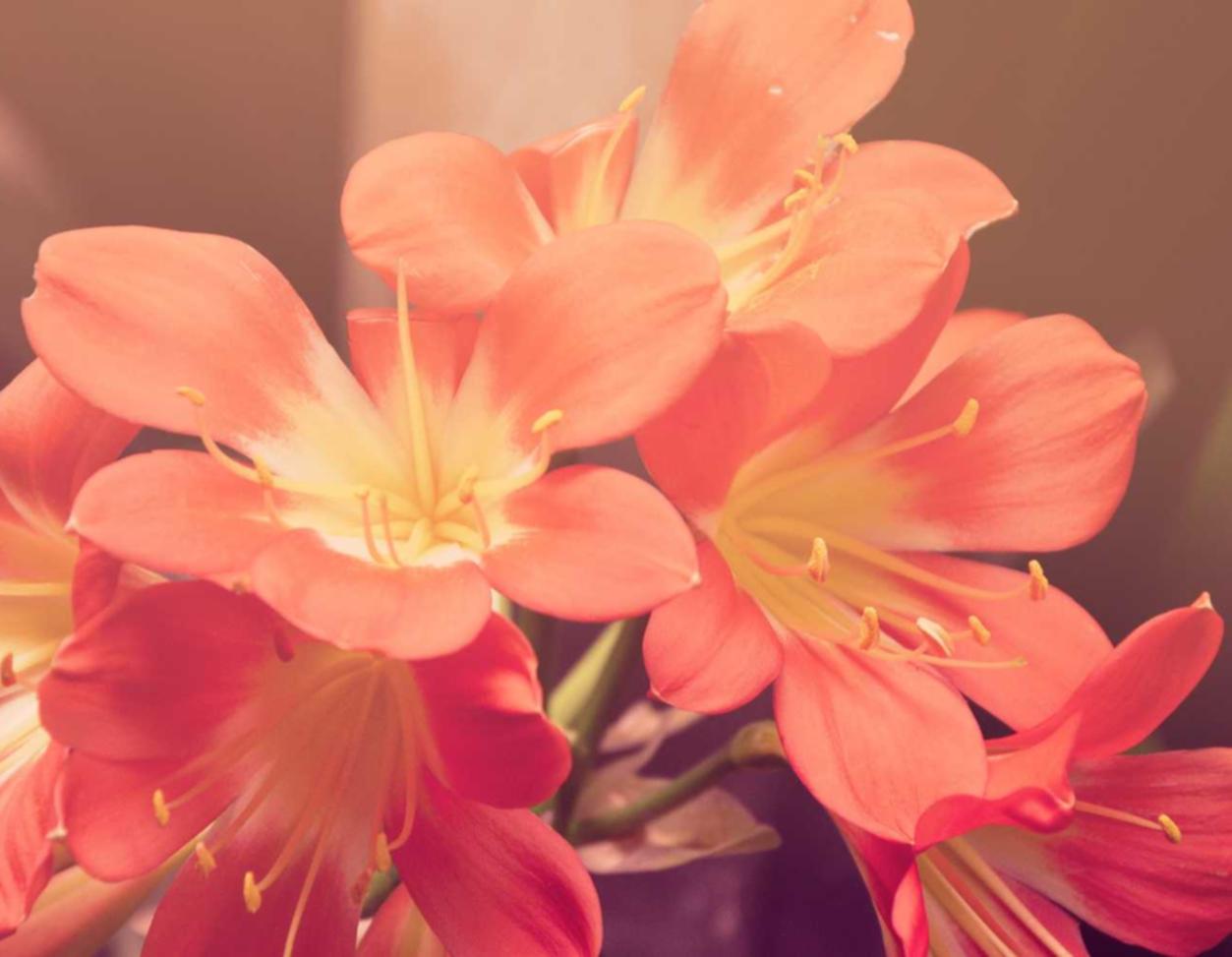 普泰移动实名账号：百家借app详情下载教程