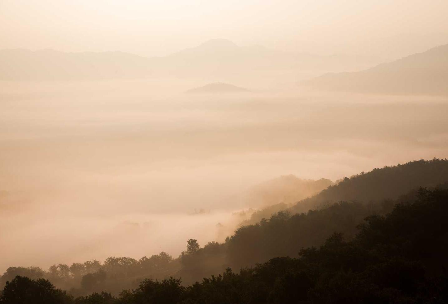 七牛云实名账号：爱奇艺手机上怎么注册账号