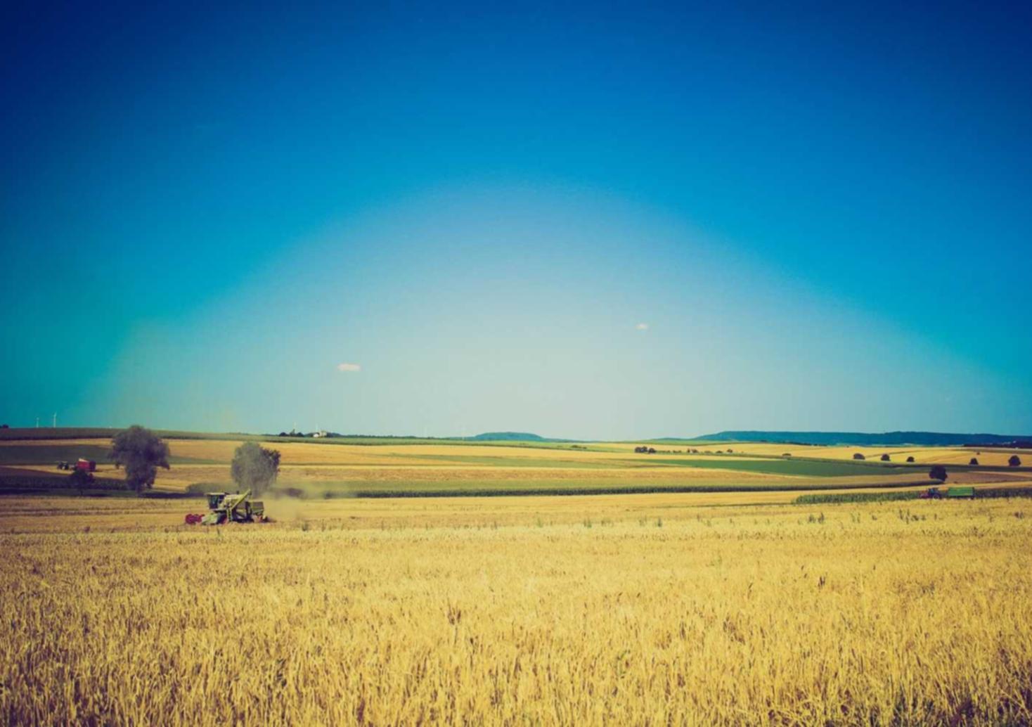 终焉誓约:浙江面膜代理平台