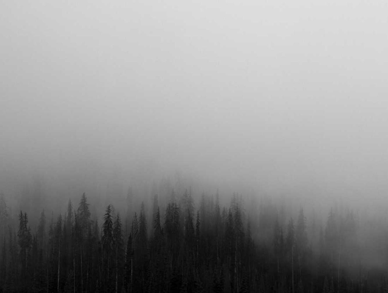 DDOS网页端源码|代理注册信息网