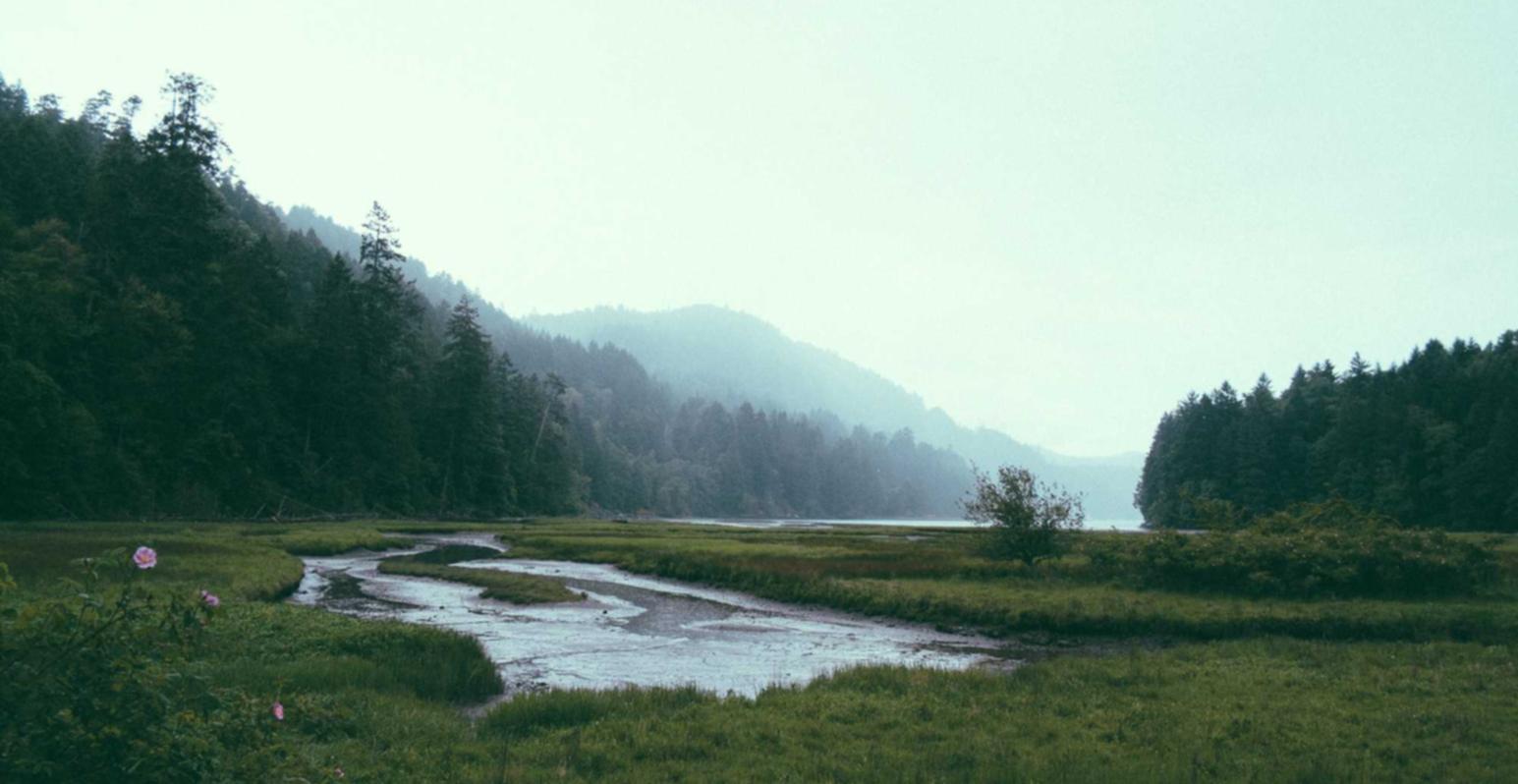 煊赫门：反app详情下载教程